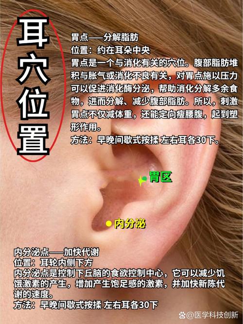 耳朵上有个穴位 颈椎