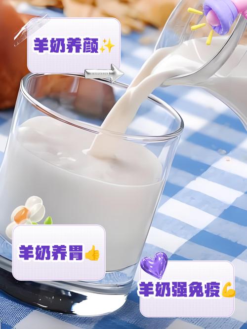 风湿类风湿可以喝羊奶吗