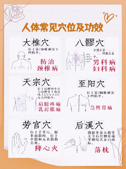 针灸穴位印堂 的功效