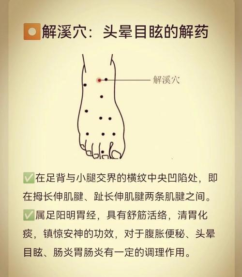 头晕恶心按摩哪个穴位