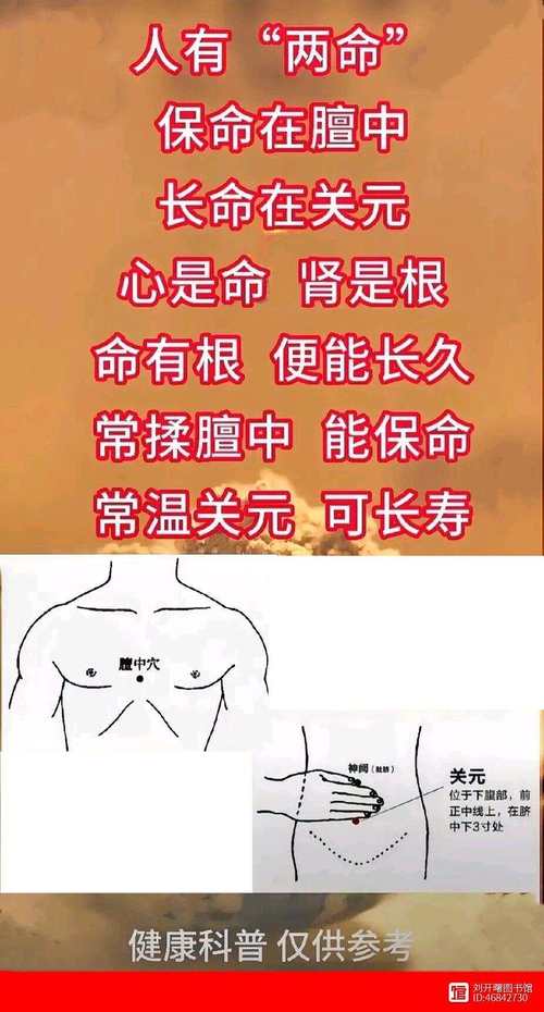 韩济生院士 经络穴位