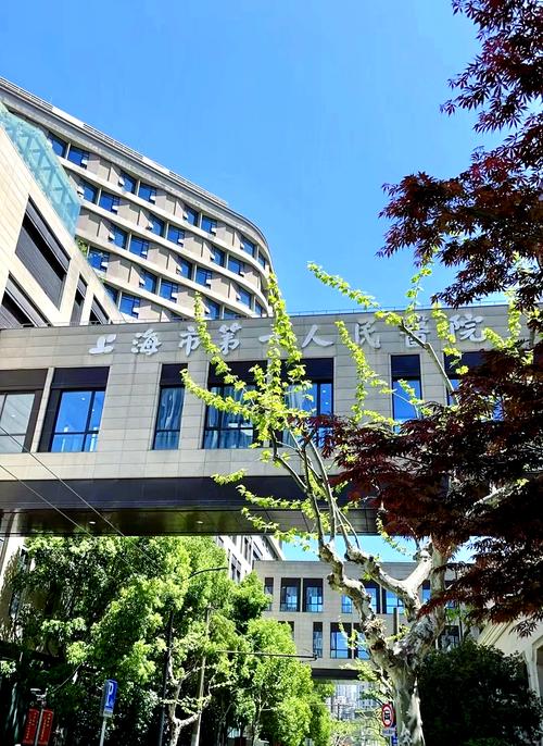 上海哪个医院看脑梗最好