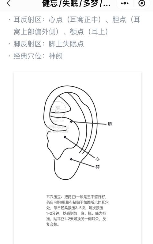 耳朵对折顶端穴位针刺