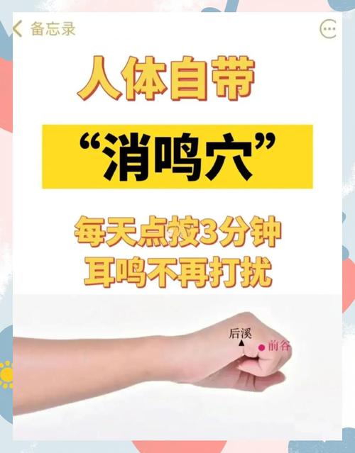 耳鸣耳聋针灸什么穴位