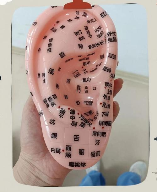 耳鸣耳聋针灸什么穴位