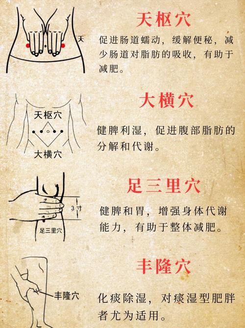 艾灸肚子哪些穴位减肥