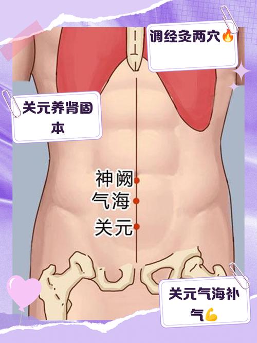 气海 关元的穴位知识