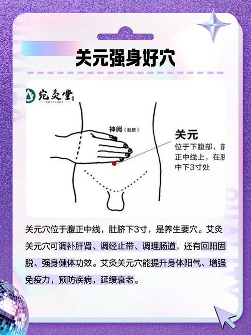 气海 关元的穴位知识