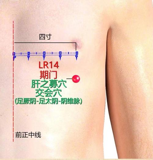 女性怎样定位期门穴位