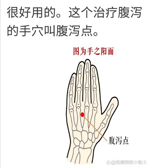 小儿腹泻艾灸哪些穴位