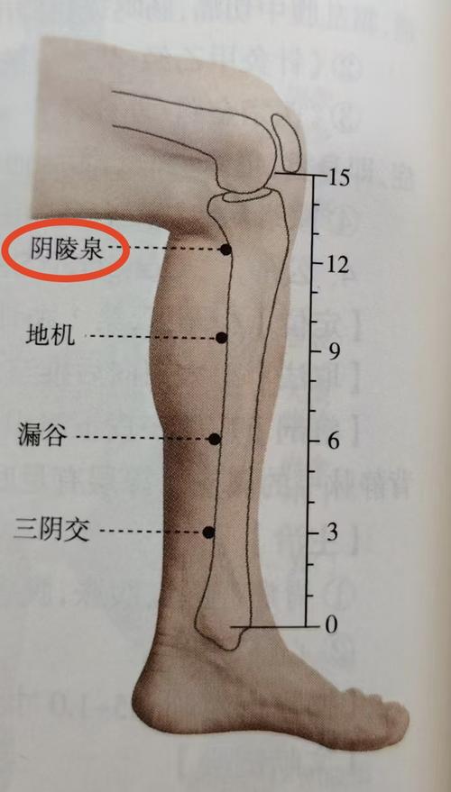 北京地区 干燥 穴位