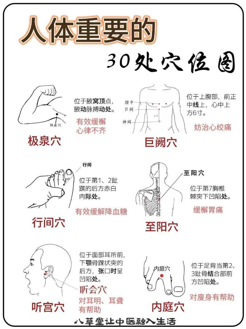 如何正确辨别中医穴位