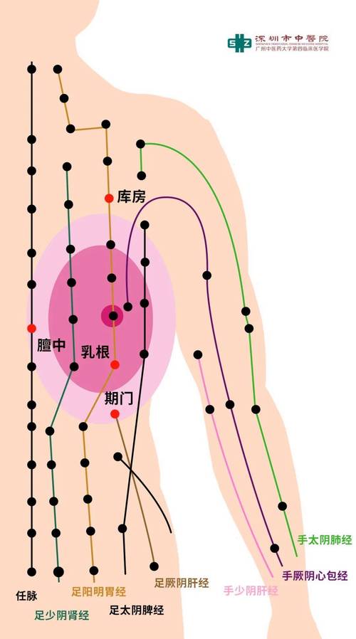 胸部图案大全图片穴位