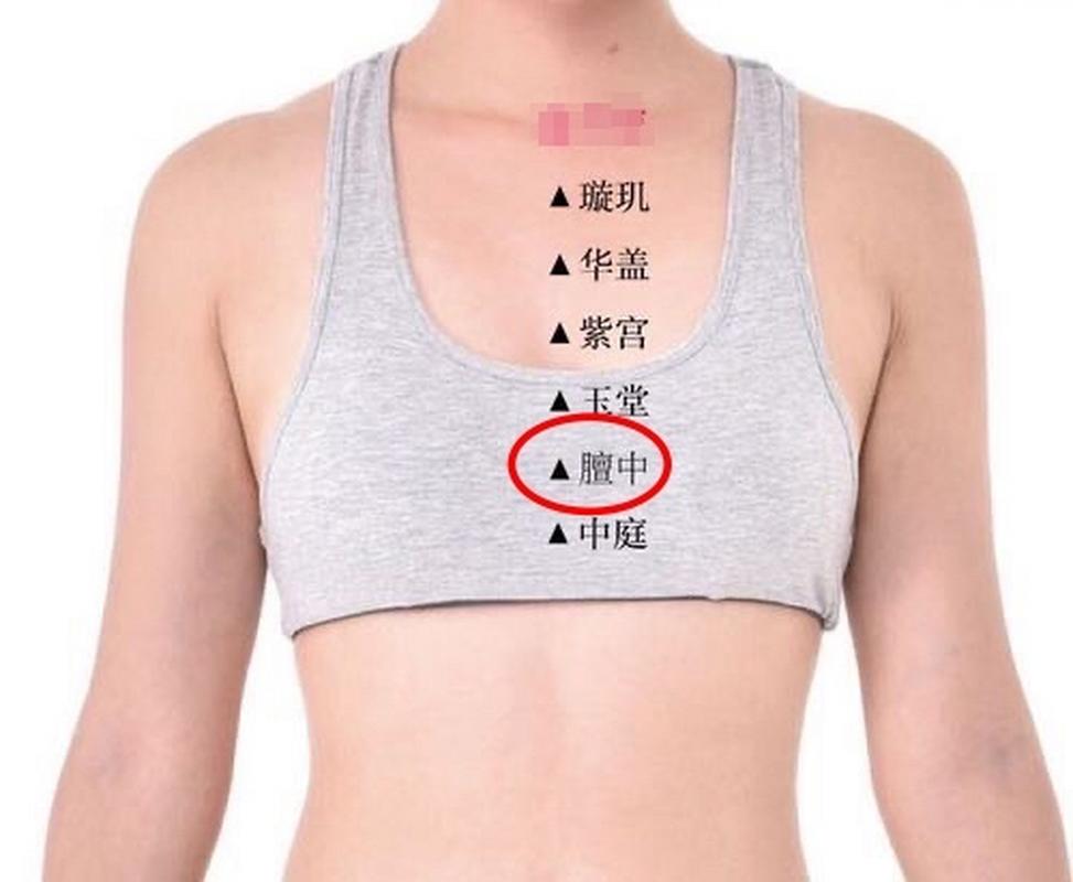 胸部图案大全图片穴位
