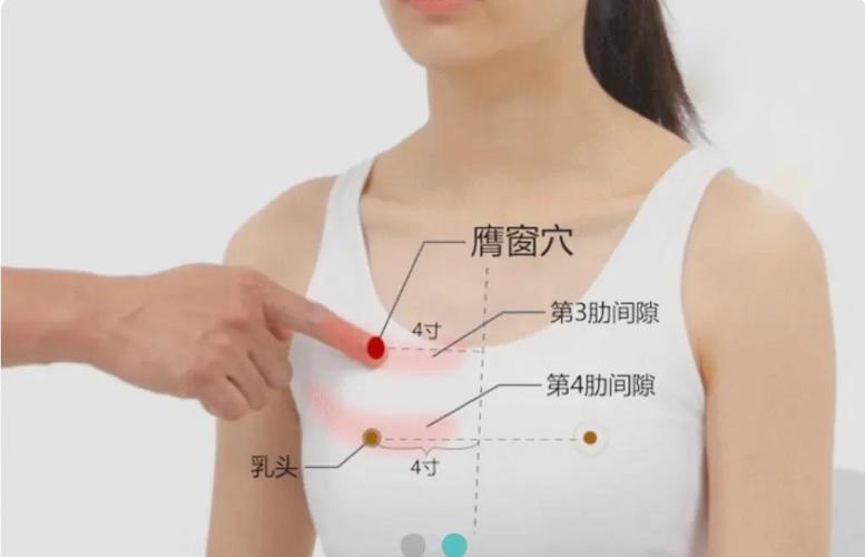 胸部图案大全图片穴位