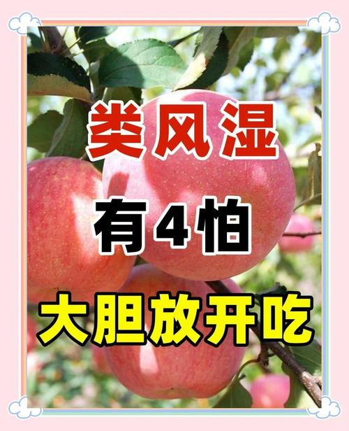 风湿 内风湿吃什么食物