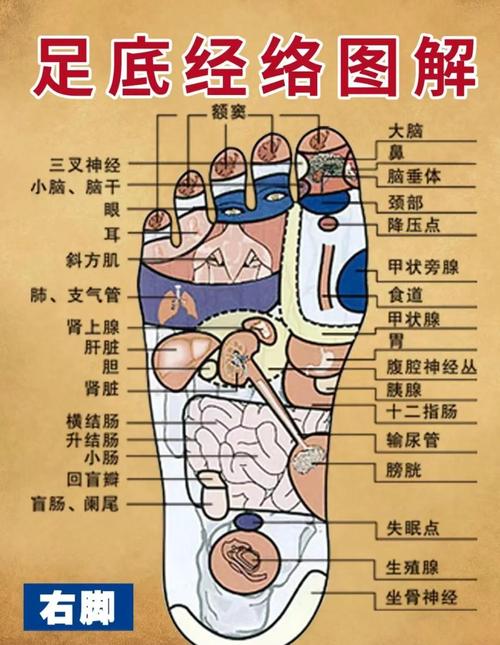 脚上哪个穴位治疗失眠