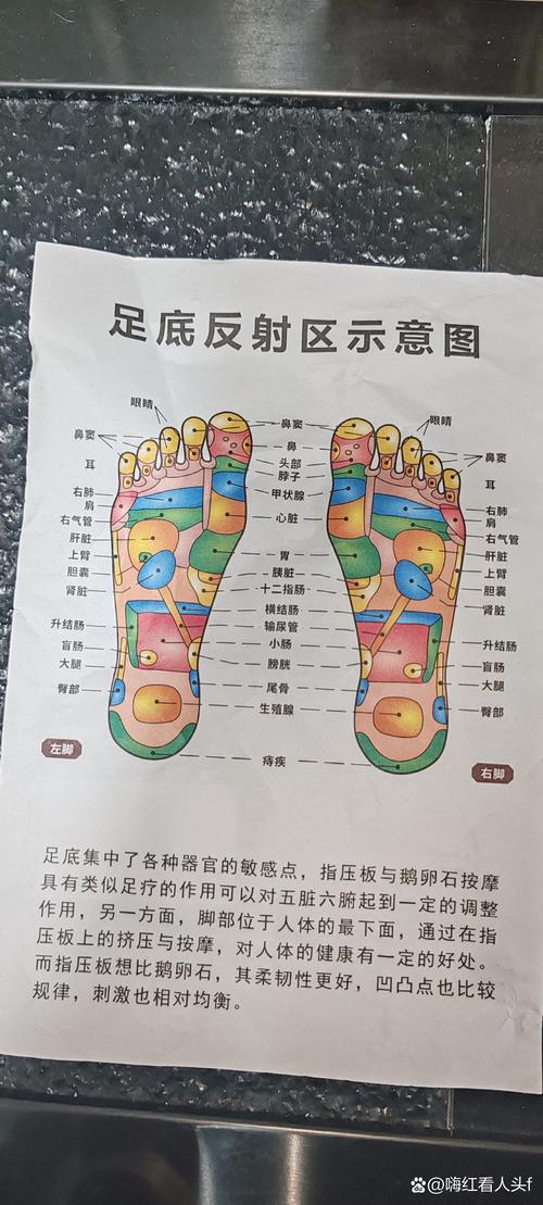 脚底穴位经络按摩图解