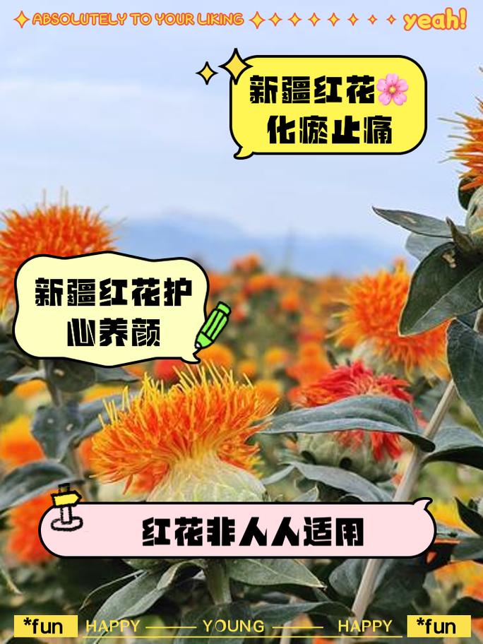 红花风湿可以治疗风湿吗