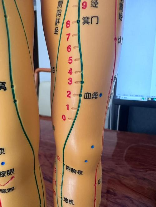 经期艾灸什么穴位最好