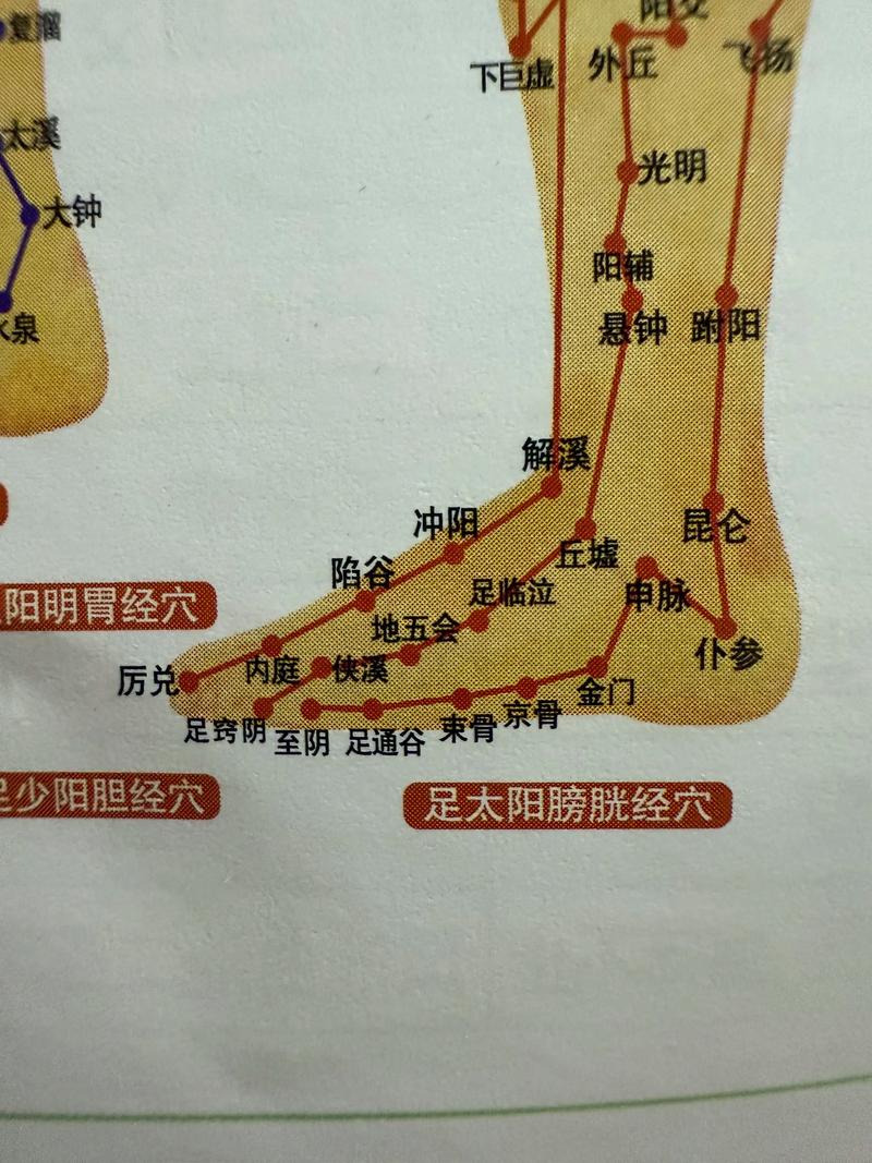 腿部哪些穴位可以艾灸