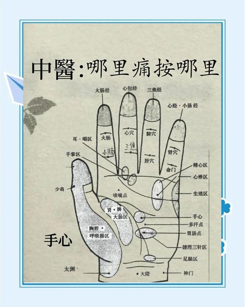 左手麻木按摩哪个穴位