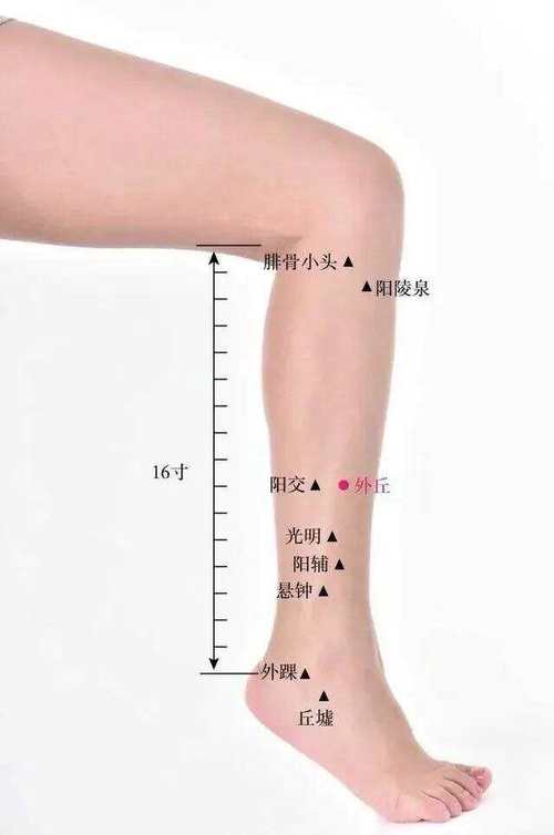 小腿肌肉酸痛按摩穴位