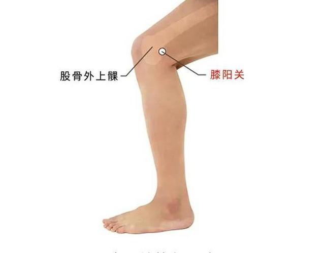 小腿肌肉酸痛按摩穴位