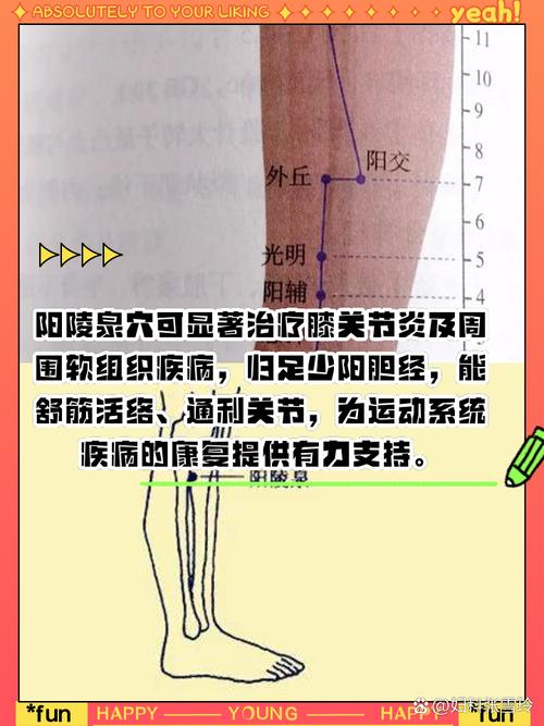 双小腿阳交 外丘穴位