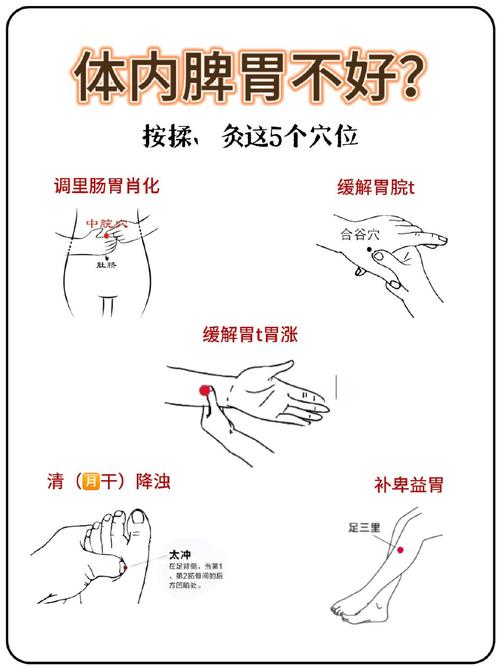 脾胃不好艾炙哪个穴位