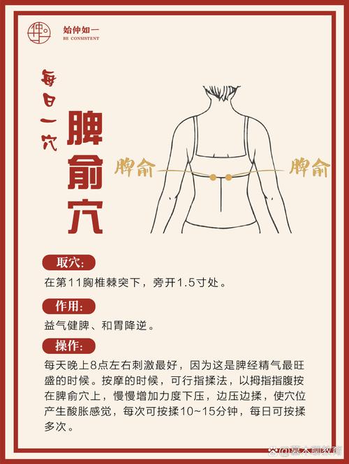 脾胃不好艾炙哪个穴位