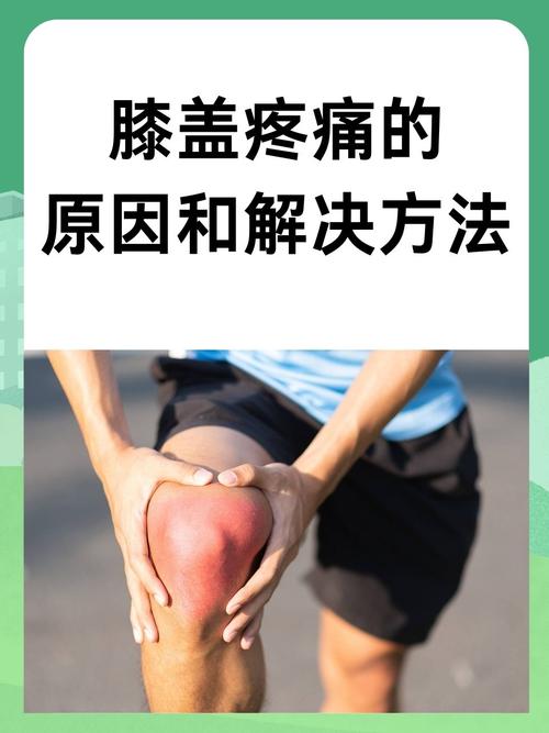 怎样治风湿寒痛膝关节痛