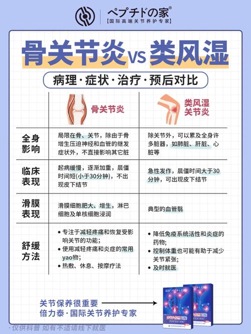 风湿性关节炎属于哪个科