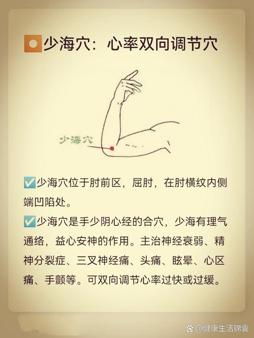 按摩哪个穴位降低心率