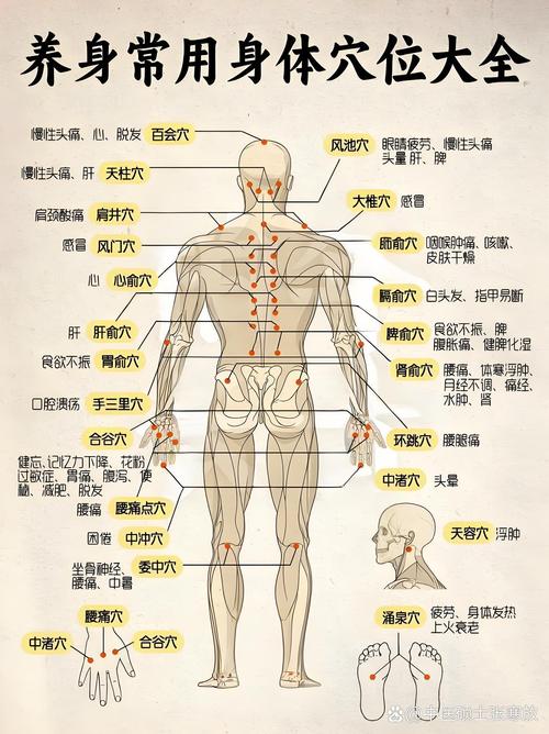 怎样准确找到身体穴位