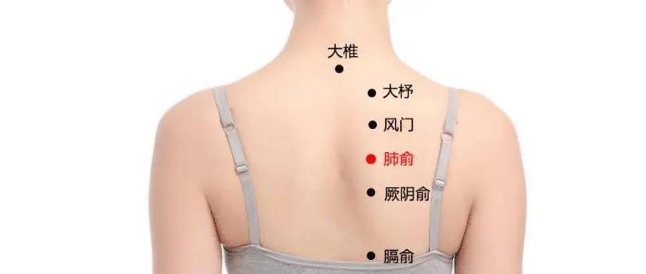 后背穴位风门 肺俞疼