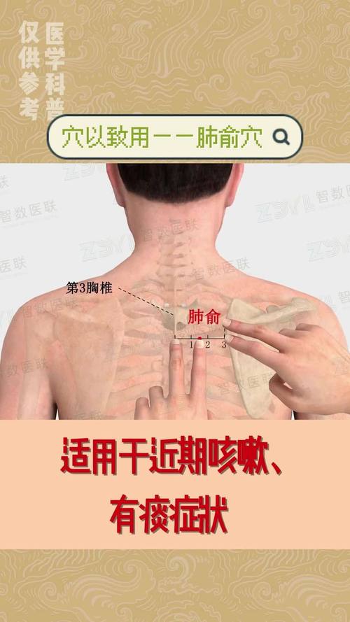 后背穴位风门 肺俞疼