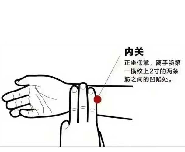 提高代谢按摩哪些穴位