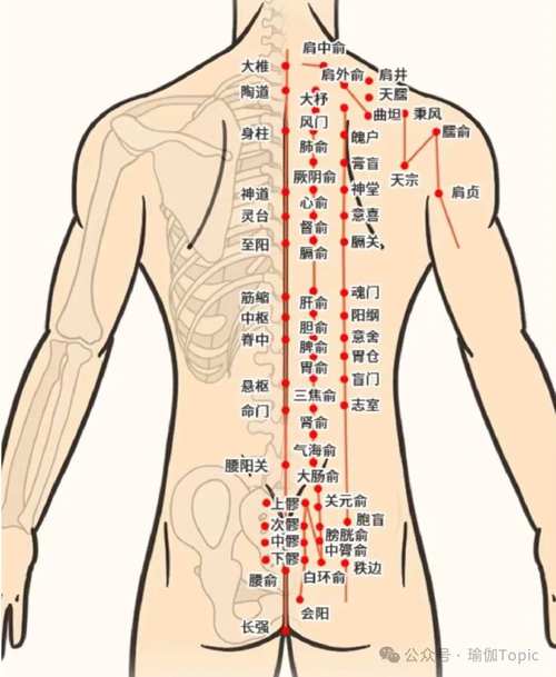 后背疼痛艾灸什么穴位