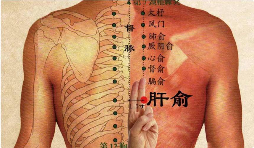后背疼痛艾灸什么穴位