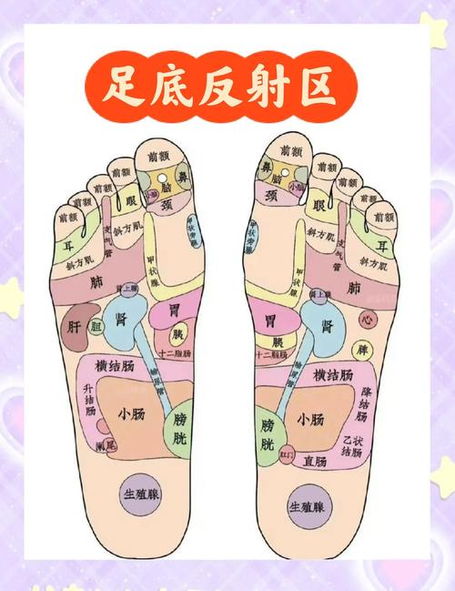 人体脚底穴位怎么按摩