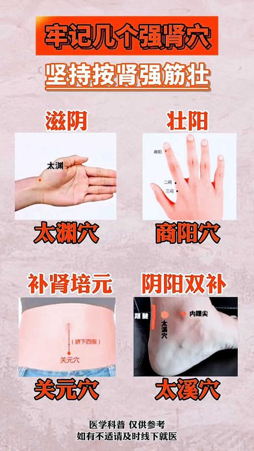 艾灸哪个穴位补肾壮阳