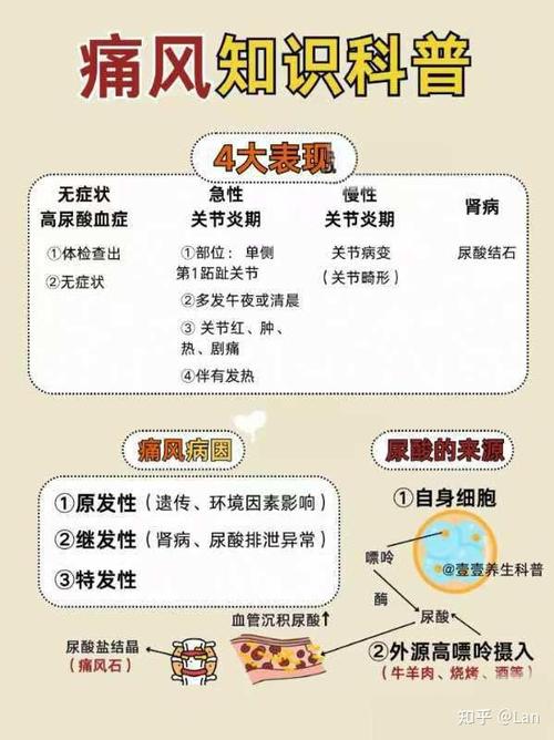 痛风和风湿是什么引起的