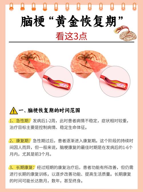 脑梗患者多久可以康复