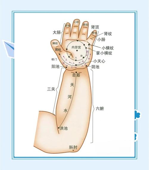 小儿穴位按摩图解高清
