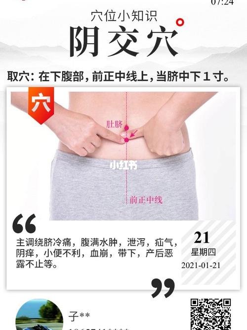 水分 阴交穴位置属性