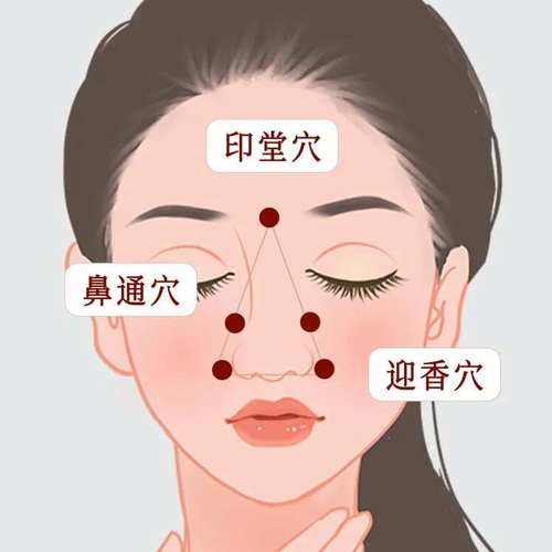 女性鼻尖对应什么穴位