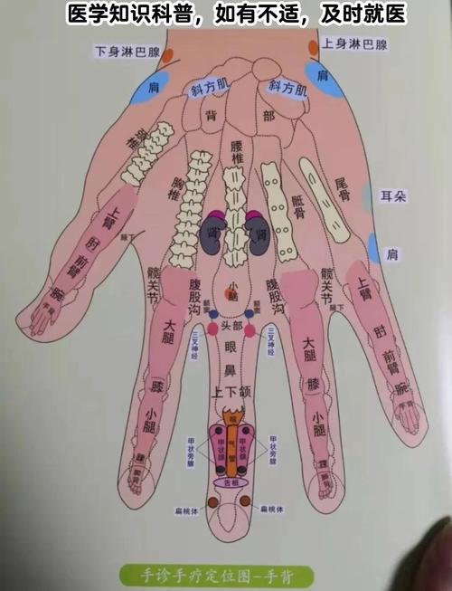 手上什么穴位对应子宫