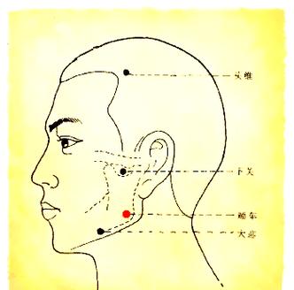 脸部麻木按摩哪个穴位