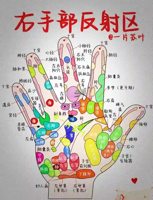 手掌穴位对应器官解读